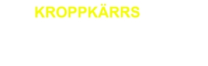 Kroppkärr Pizzeria